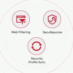 "Zyxel ZyWALL USG FLEX 50 Firewall - Secure Your Network with Advanced Protection | Order Now!"